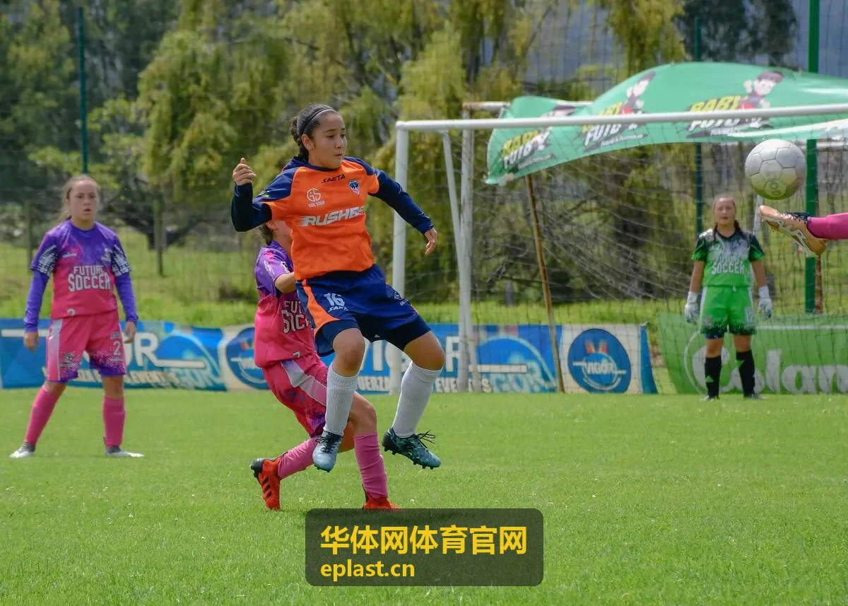 体育场馆运营方案中的场地排期与时段定价示意