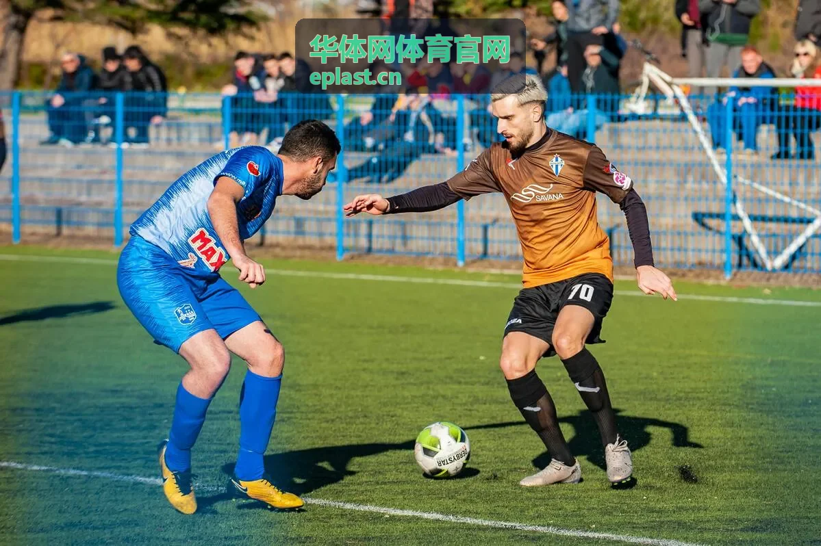 体育场馆照明与场地设备维护巡检示意